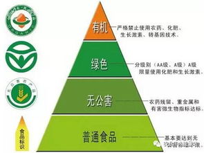 政策重磅！決定農化行業未來十年走向的國家級政策與人工智能雙創服務平臺