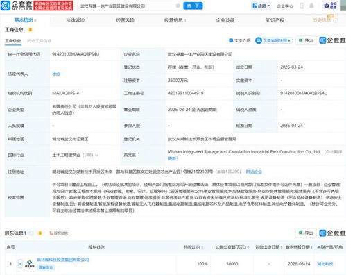 武漢存算一體產業園區建設公司成立，加速區域數字經濟發展