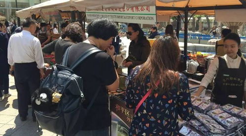 拓寬參保渠道 我市助力醫保新政順利實施