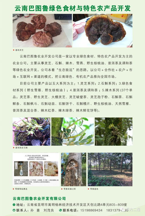 我會(huì)組織會(huì)員單位赴二連浩特邊民互市貿(mào)易區(qū)商品展銷會(huì)