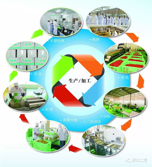 組織會(huì)員單位參加二連浩特邊民互市貿(mào)易區(qū)商品展銷會(huì)，推動(dòng)商品零售貿(mào)易發(fā)展